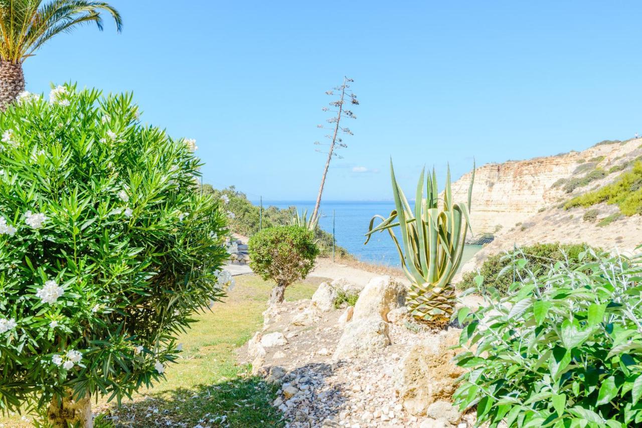 The Little Paradise With Sea Views Carvoeiro (Lagoa) Exterior foto